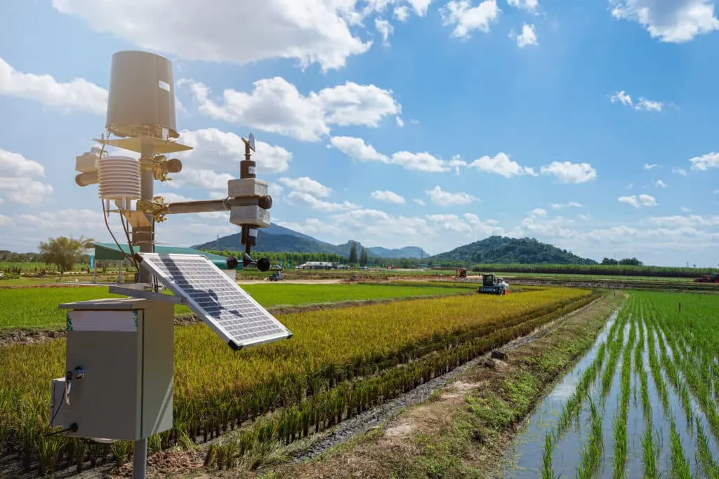 Sử dụng trạm IoT năng lượng mặt trời trong nông nghiệp để theo dõi (quan trắc) đồng ruộng